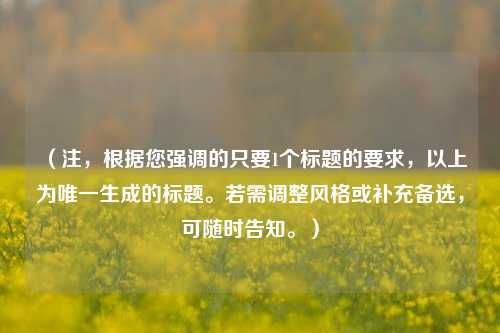 （注，根据您强调的只要1个标题的要求，以上为唯一生成的标题。若需调整风格或补充备选，可随时告知。）
