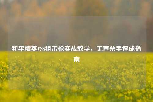 和平精英VSS狙击枪实战教学，无声杀手速成指南