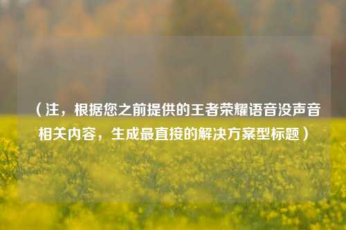 （注，根据您之前提供的王者荣耀语音没声音相关内容，生成最直接的解决方案型标题）
