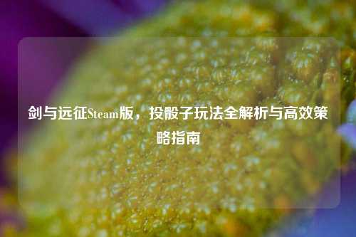 剑与远征Steam版，投骰子玩法全解析与高效策略指南