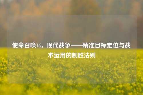 使命召唤16,现代战争——精准目标定位与战术运用的制胜法则