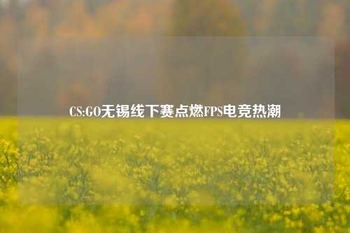 CS:GO无锡线下赛点燃FPS电竞热潮