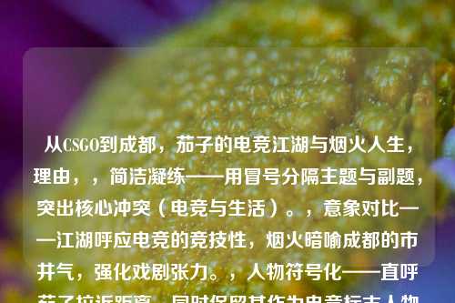 从CSGO到成都，茄子的电竞江湖与烟火人生，理由，，简洁凝练——用冒号分隔主题与副题，突出核心冲突（电竞与生活）。，意象对比——江湖呼应电竞的竞技性，烟火暗喻成都的市井气，强化戏剧张力。，人物符号化——直呼茄子拉近距离，同时保留其作为电竞标志人物的辨识度。，若需调整方向（如更文艺/更直白），可告知具体需求。