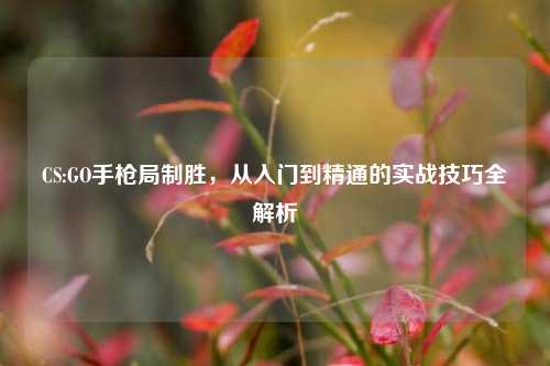 CS:GO手枪局制胜，从入门到精通的实战技巧全解析