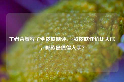 王者荣耀猴子全皮肤测评，6款皮肤性价比大PK，哪款最值得入手？