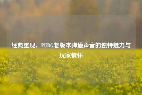 经典重现，PUBG老版本弹道声音的独特魅力与玩家情怀
