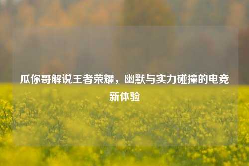 瓜你哥解说王者荣耀，幽默与实力碰撞的电竞新体验