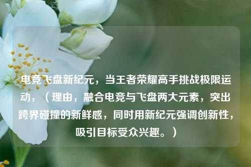 电竞飞盘新纪元，当王者荣耀高手挑战极限运动，（理由，融合电竞与飞盘两大元素，突出跨界碰撞的新鲜感，同时用新纪元强调创新性，吸引目标受众兴趣。）