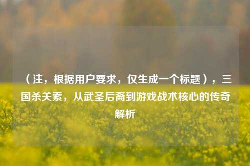 （注，根据用户要求，仅生成一个标题），三国杀关索，从武圣后裔到游戏战术核心的传奇解析