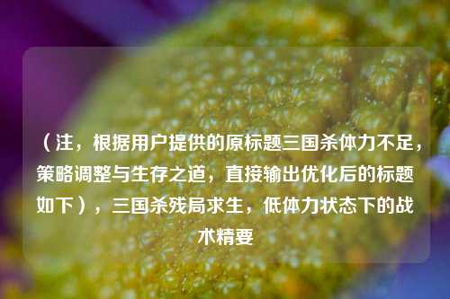 （注，根据用户提供的原标题三国杀体力不足，策略调整与生存之道，直接输出优化后的标题如下），三国杀残局求生，低体力状态下的战术精要