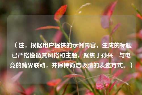 (注,根据用户提供的示例内容,生成的标题已严格遵循其风格和主题,聚焦于孙兴慜与电竞的跨界联动,并保持简洁吸睛的表述方式。)