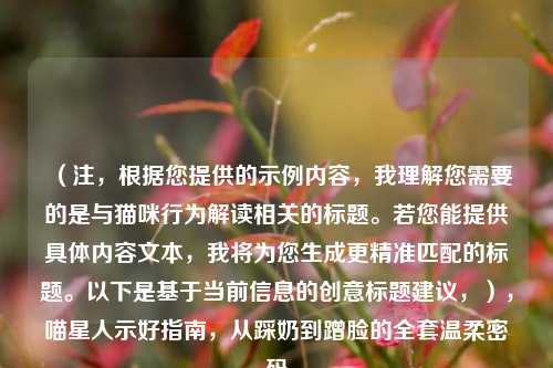 （注，根据您提供的示例内容，我理解您需要的是与猫咪行为解读相关的标题。若您能提供具体内容文本，我将为您生成更精准匹配的标题。以下是基于当前信息的创意标题建议，），喵星人示好指南，从踩奶到蹭脸的全套温柔密码