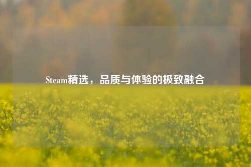 Steam精选，品质与体验的极致融合