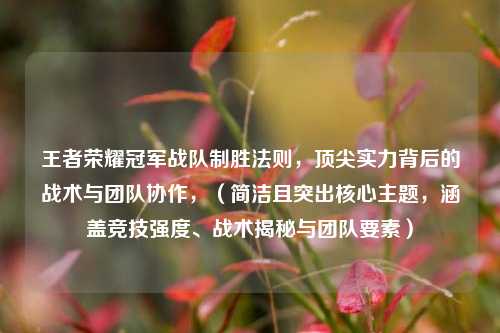王者荣耀冠军战队制胜法则，顶尖实力背后的战术与团队协作，（简洁且突出核心主题，涵盖竞技强度、战术揭秘与团队要素）