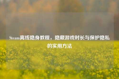 Steam离线隐身教程，隐藏游戏时长与保护隐私的实用方法