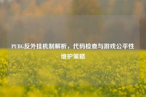 PUBG反外挂机制解析，代码检查与游戏公平性维护策略