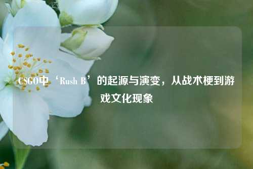 CSGO中‘Rush B’的起源与演变，从战术梗到游戏文化现象