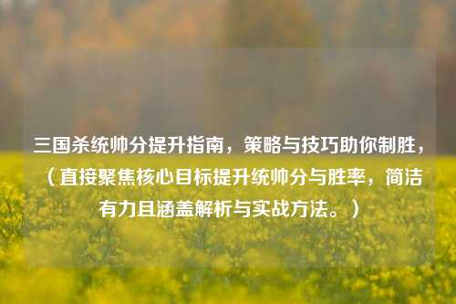 三国杀统帅分提升指南，策略与技巧助你制胜，（直接聚焦核心目标提升统帅分与胜率，简洁有力且涵盖解析与实战方法。）