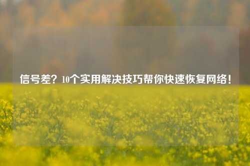 信号差？10个实用解决技巧帮你快速恢复网络！