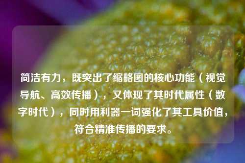 简洁有力，既突出了缩略图的核心功能（视觉导航、高效传播），又体现了其时代属性（数字时代），同时用利器一词强化了其工具价值，符合精准传播的要求。