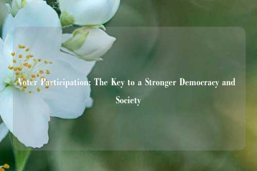 Voter Participation: The Key to a Stronger Democracy and Society