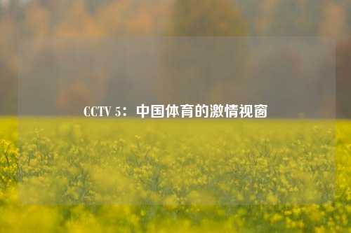 CCTV 5：中国体育的激情视窗