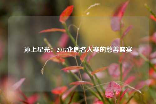 冰上星光：2017企鹅名人赛的慈善盛宴
