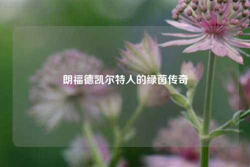 朗福德凯尔特人的绿茵传奇