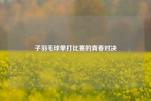 子羽毛球单打比赛的青春对决