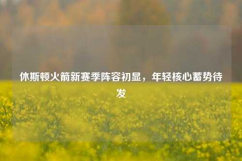 休斯顿火箭新赛季阵容初显，年轻核心蓄势待发