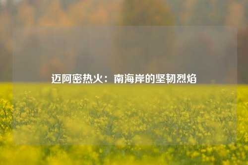 迈阿密热火：南海岸的坚韧烈焰