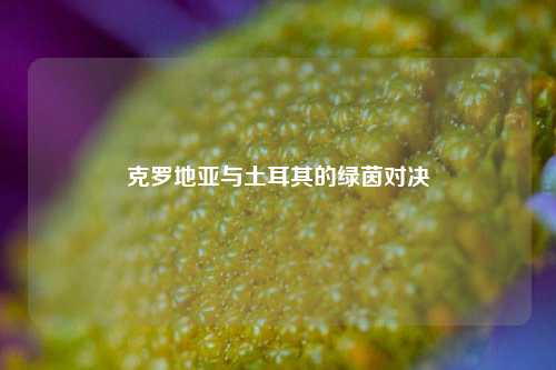克罗地亚与土耳其的绿茵对决