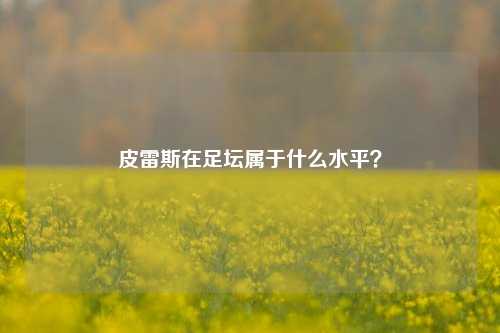 皮雷斯在足坛属于什么水平？
