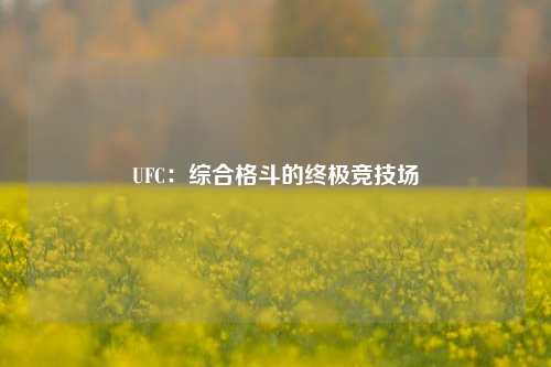 UFC：综合格斗的终极竞技场