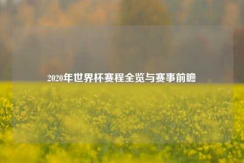 2020年世界杯赛程全览与赛事前瞻