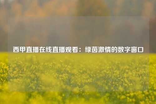 西甲直播在线直播观看：绿茵激情的数字窗口