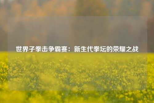 世界子拳击争霸赛：新生代拳坛的荣耀之战