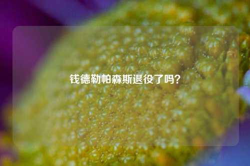 钱德勒帕森斯退役了吗？