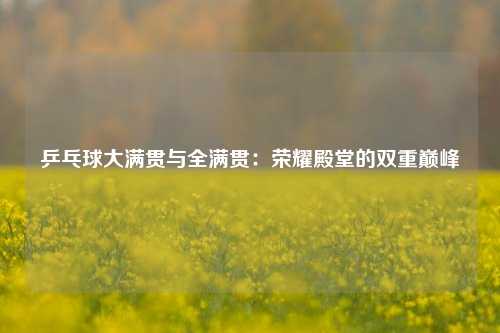 乒乓球大满贯与全满贯：荣耀殿堂的双重巅峰