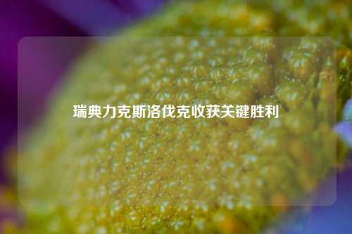 瑞典力克斯洛伐克收获关键胜利