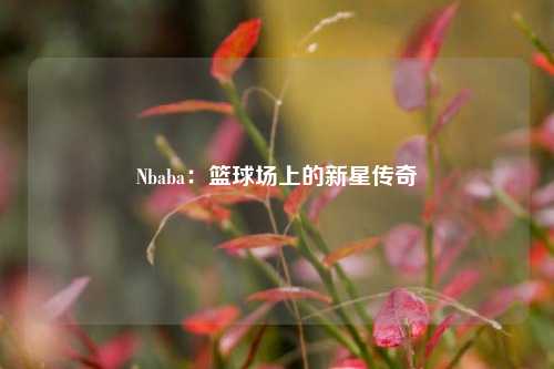 Nbaba：篮球场上的新星传奇