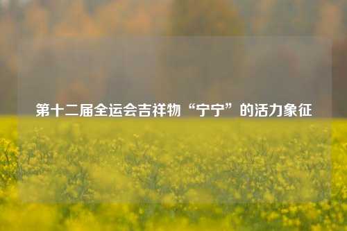 第十二届全运会吉祥物“宁宁”的活力象征