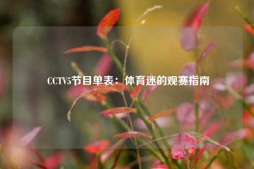  CCTV5节目单表：体育迷的观赛指南