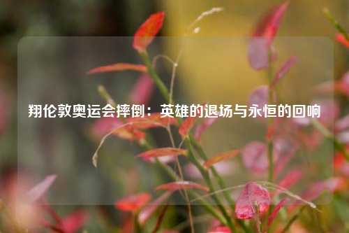 翔伦敦奥运会摔倒：英雄的退场与永恒的回响