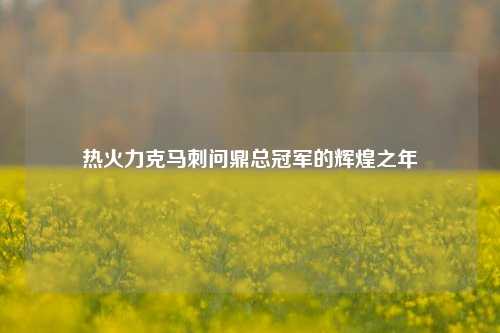 热火力克马刺问鼎总冠军的辉煌之年