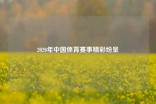 2020年中国体育赛事精彩纷呈