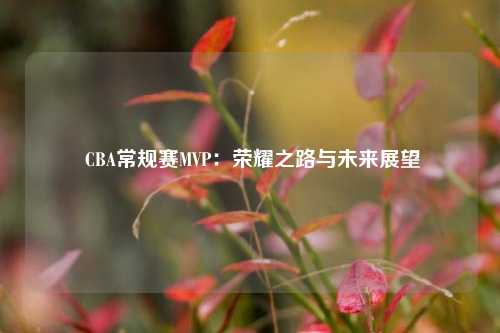  CBA常规赛MVP：荣耀之路与未来展望