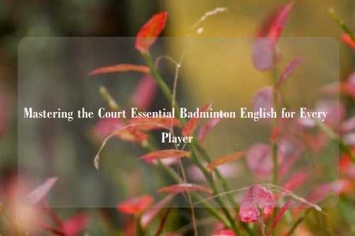 Mastering the Court Essential Badminton English for Every Player